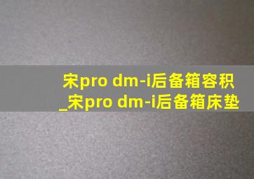 宋pro dm-i后备箱容积_宋pro dm-i后备箱床垫